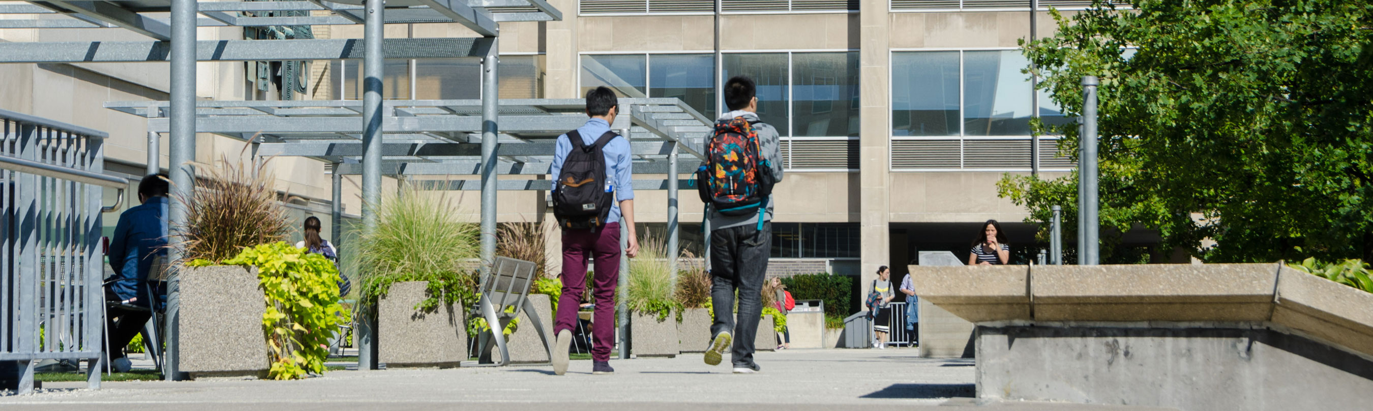 Students walk outside